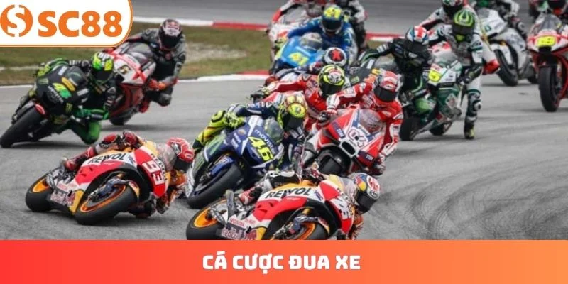 Cá cược đua xe