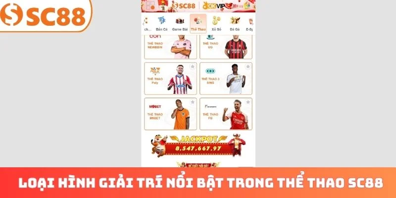Các loại hình giải trí nổi bật trong thể thao SC88